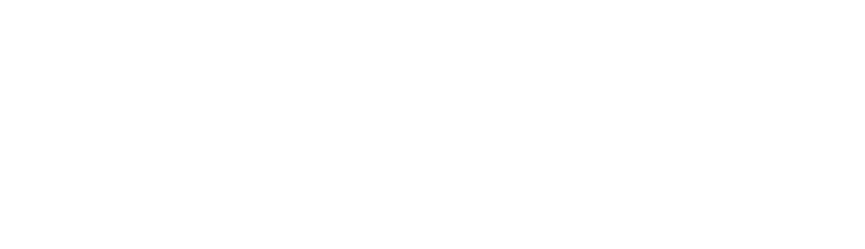 green4T_logo_branco_tf
